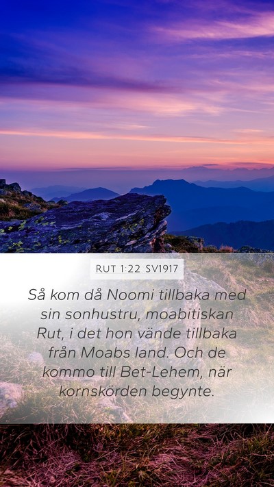 Rut 1:22 SV1917 Bible Verse Image