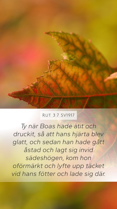 Rut 3:7 SV1917 Bible Verse Image