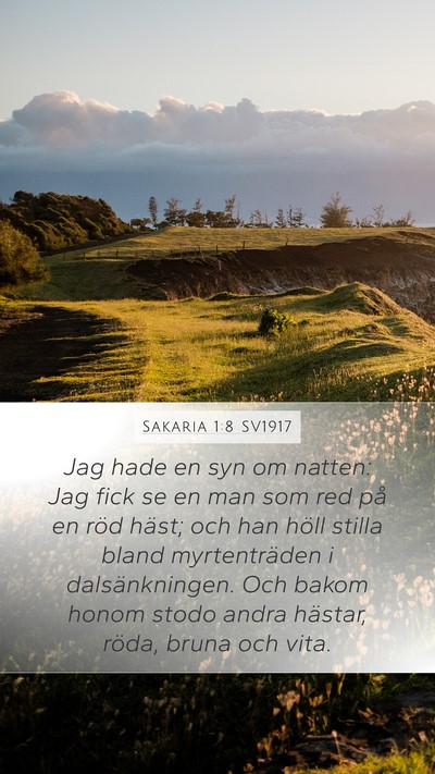 Sakaria 1:8 SV1917 Bible Verse Image