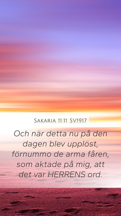 Sakaria 11:11 SV1917 Bible Verse Image
