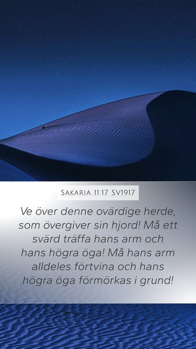 Sakaria 11:17 SV1917 Bible Verse Image