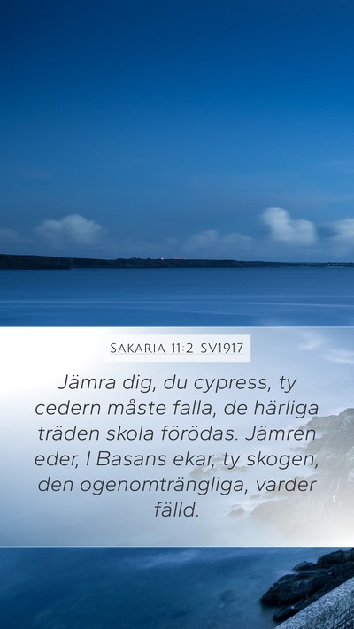 Sakaria 11:2 SV1917 Bible Verse Image