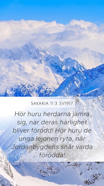 Sakaria 11:3 SV1917 Bible Verse Image