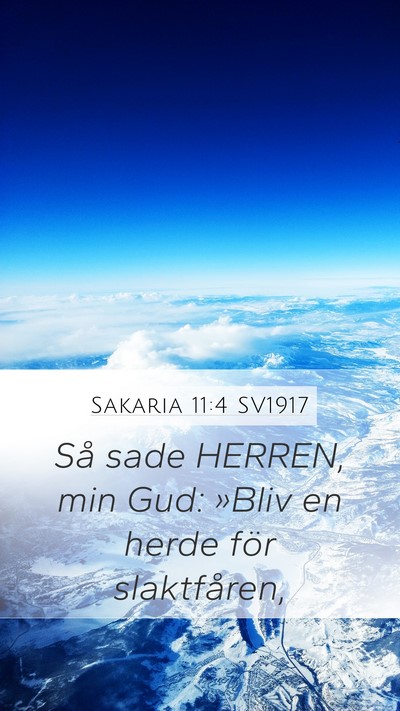 Sakaria 11:4 SV1917 Bible Verse Image