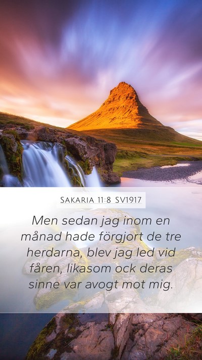 Sakaria 11:8 SV1917 Bible Verse Image