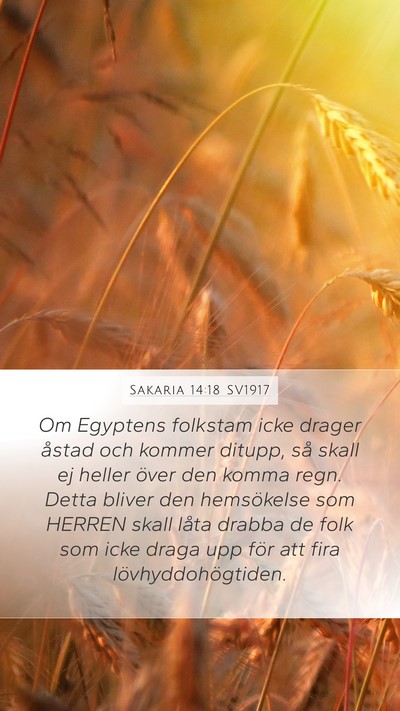 Sakaria 14:18 SV1917 Bible Verse Image