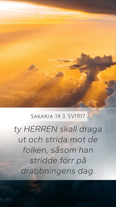 Sakaria 14:3 SV1917 Bible Verse Image