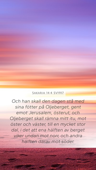 Sakaria 14:4 SV1917 Bible Verse Image