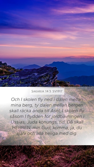 Sakaria 14:5 SV1917 Bible Verse Image