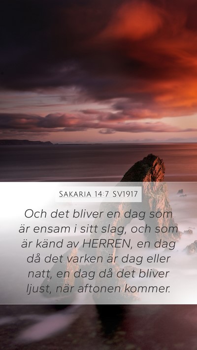 Sakaria 14:7 SV1917 Bible Verse Image