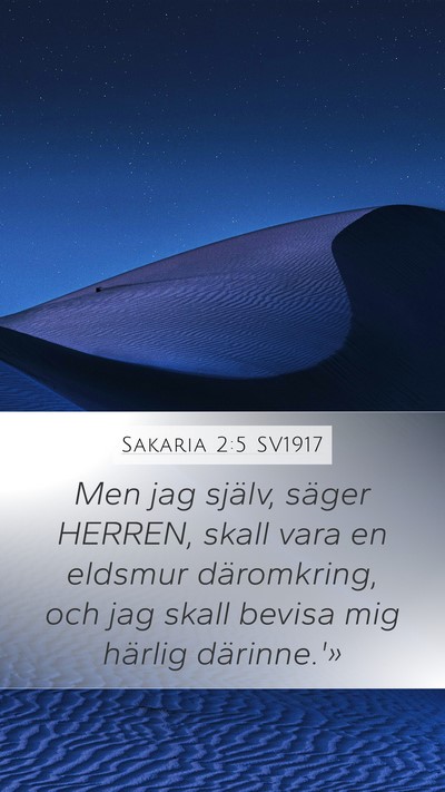 Sakaria 2:5 SV1917 Bible Verse Image