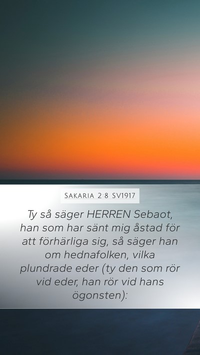 Sakaria 2:8 SV1917 Bible Verse Image