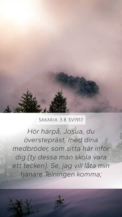 Sakaria 3:8 SV1917 Bible Verse Image