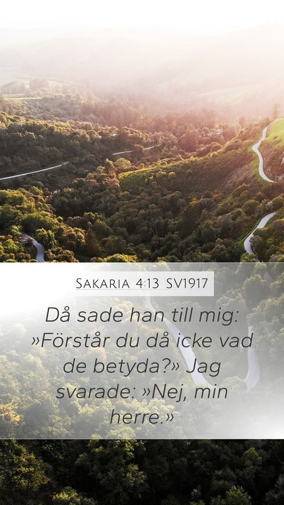 Sakaria 4:13 SV1917 Bible Verse Image