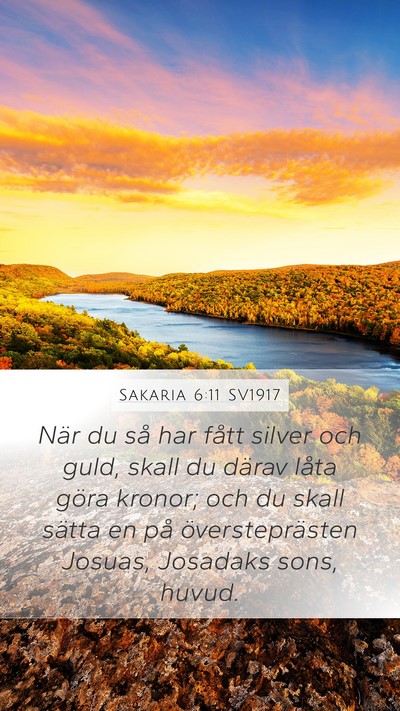 Sakaria 6:11 SV1917 Bible Verse Image