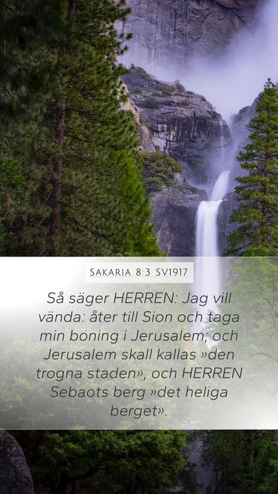 Sakaria 8:3 SV1917 Bible Verse Image