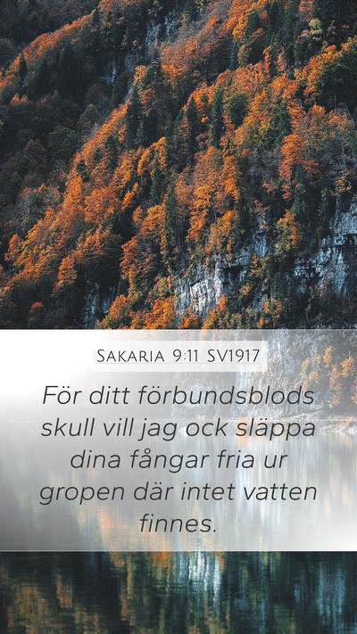 Sakaria 9:11 SV1917 Bible Verse Image