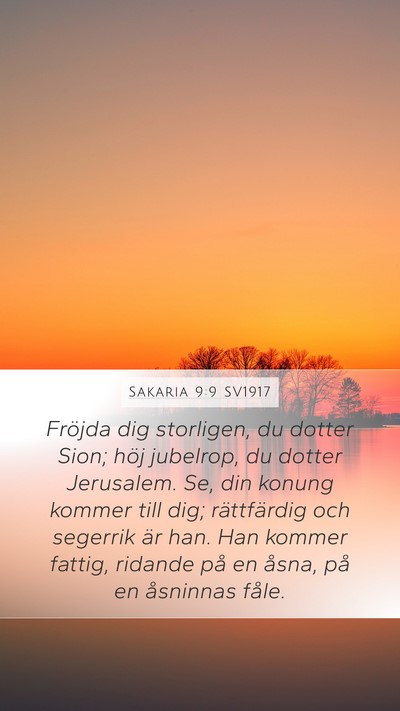 Sakaria 9:9 SV1917 Bible Verse Image