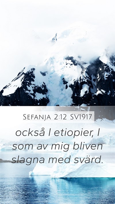 Sefanja 2:12 SV1917 Bible Verse Image