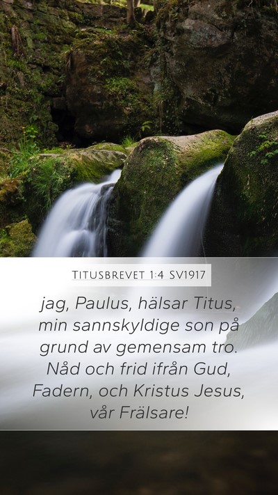 Titusbrevet 1:4 SV1917 Bible Verse Image
