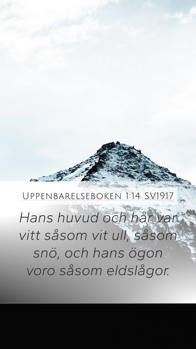 Uppenbarelseboken 1:14 SV1917 Bible Verse Image