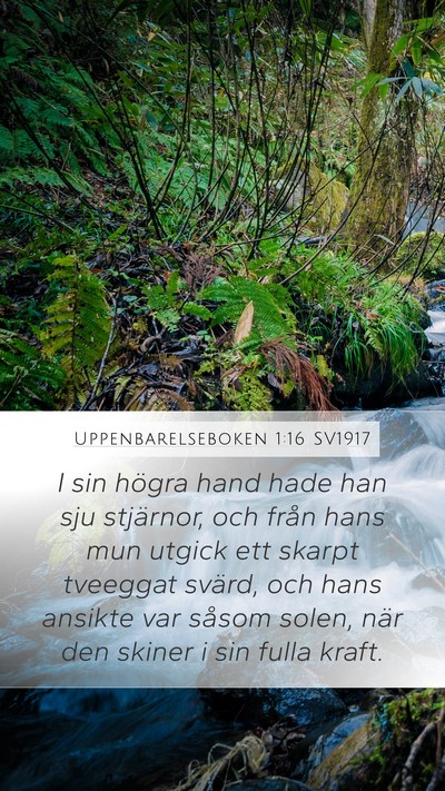 Uppenbarelseboken 1:16 SV1917 Bible Verse Image
