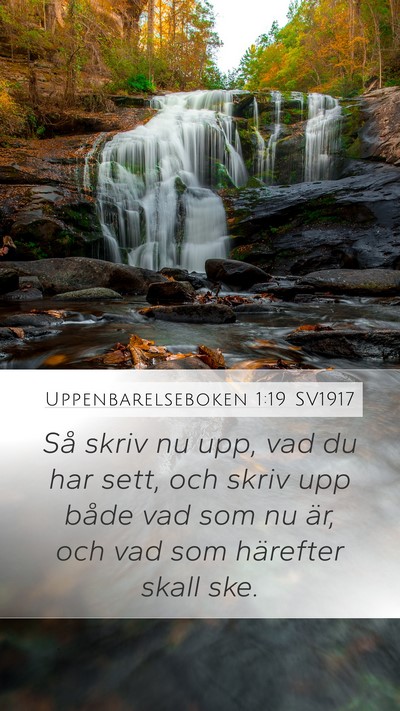 Uppenbarelseboken 1:19 SV1917 Bible Verse Image