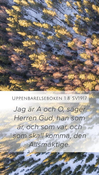 Uppenbarelseboken 1:8 SV1917 Bible Verse Image