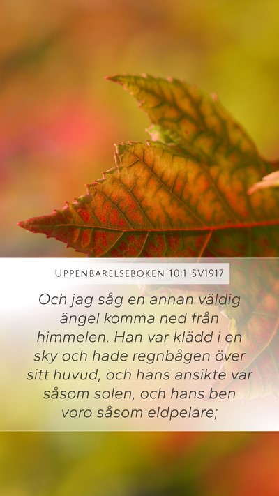 Uppenbarelseboken 10:1 SV1917 Bible Verse Image