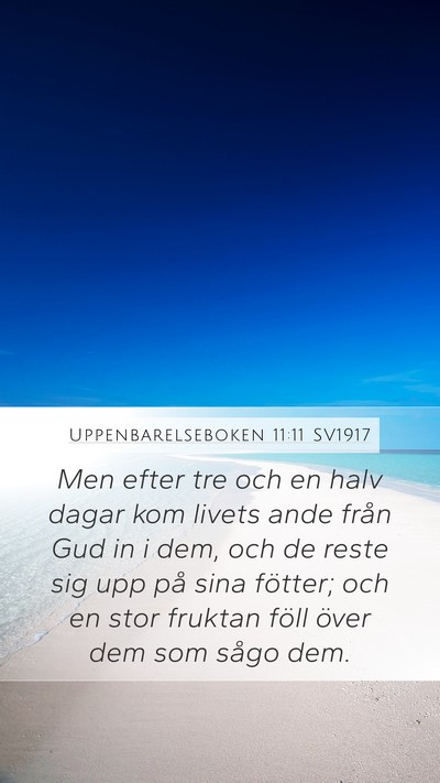 Uppenbarelseboken 11:11 SV1917 Bible Verse Image