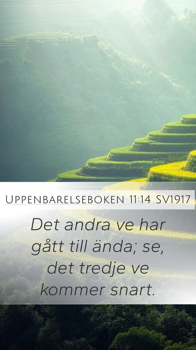 Uppenbarelseboken 11:14 SV1917 Bible Verse Image