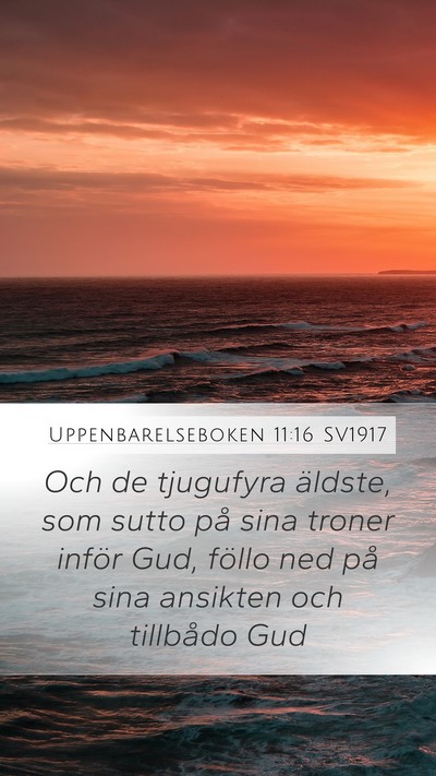 Uppenbarelseboken 11:16 SV1917 Bible Verse Image