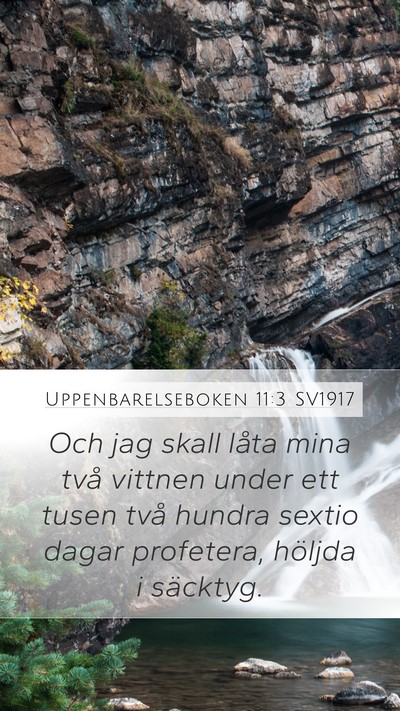 Uppenbarelseboken 11:3 SV1917 Bible Verse Image