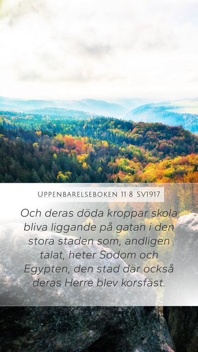 Uppenbarelseboken 11:8 SV1917 Bible Verse Image