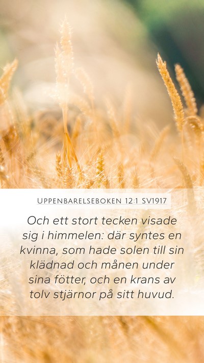 Uppenbarelseboken 12:1 SV1917 Bible Verse Image