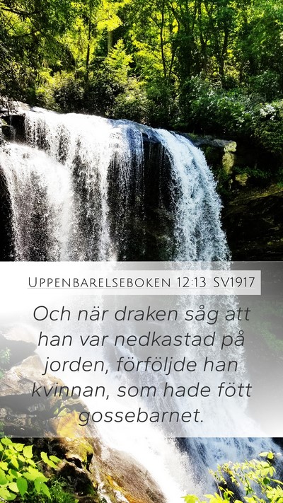Uppenbarelseboken 12:13 SV1917 Bible Verse Image