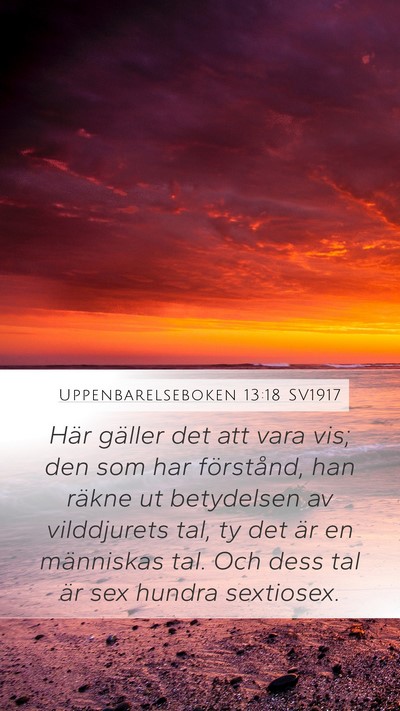 Uppenbarelseboken 13:18 SV1917 Bible Verse Image