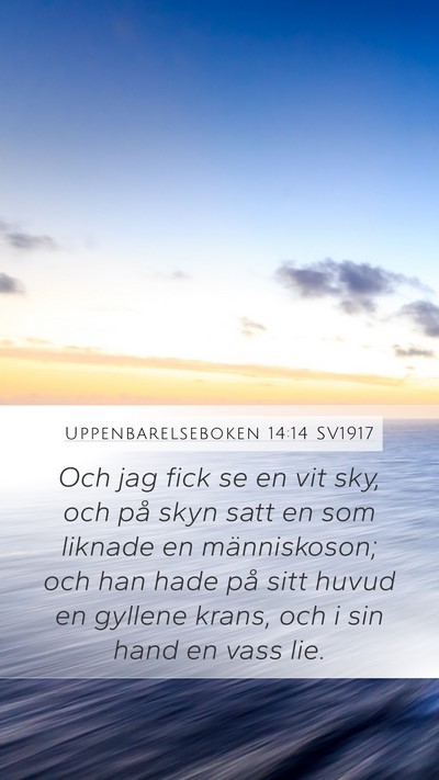 Uppenbarelseboken 14:14 SV1917 Bible Verse Image
