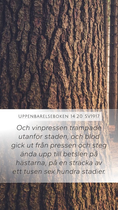 Uppenbarelseboken 14:20 SV1917 Bible Verse Image