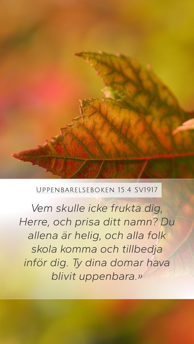 Uppenbarelseboken 15:4 SV1917 Bible Verse Image