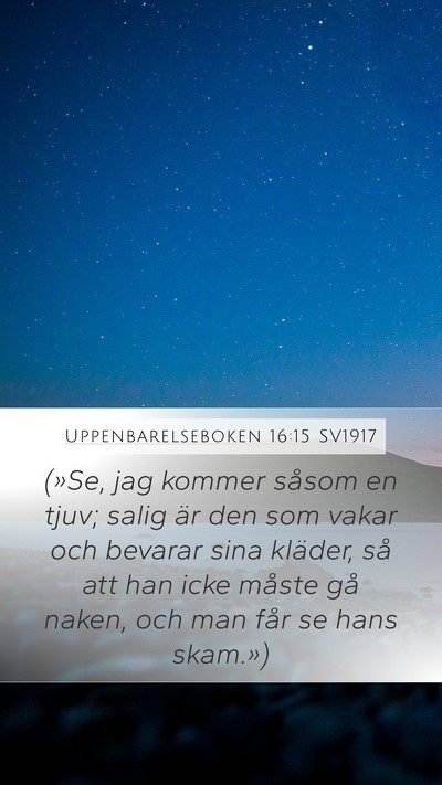 Uppenbarelseboken 16:15 SV1917 Bible Verse Image