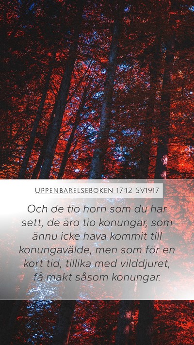 Uppenbarelseboken 17:12 SV1917 Bible Verse Image