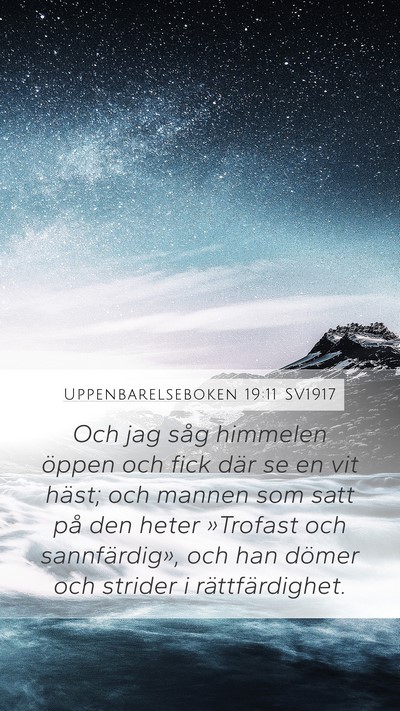 Uppenbarelseboken 19:11 SV1917 Bible Verse Image