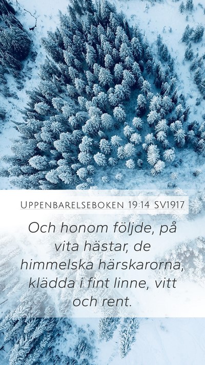 Uppenbarelseboken 19:14 SV1917 Bible Verse Image