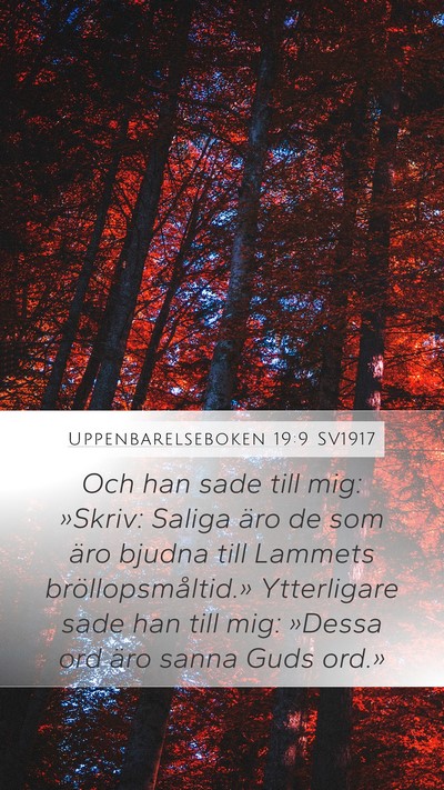 Uppenbarelseboken 19:9 SV1917 Bible Verse Image