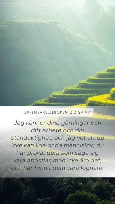 Uppenbarelseboken 2:2 SV1917 Bible Verse Image