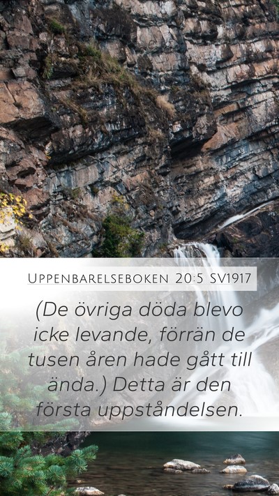 Uppenbarelseboken 20:5 SV1917 Bible Verse Image