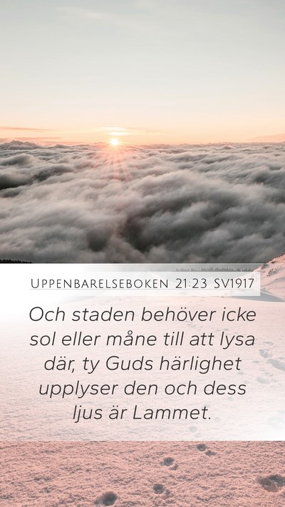 Uppenbarelseboken 21:23 SV1917 Bible Verse Image