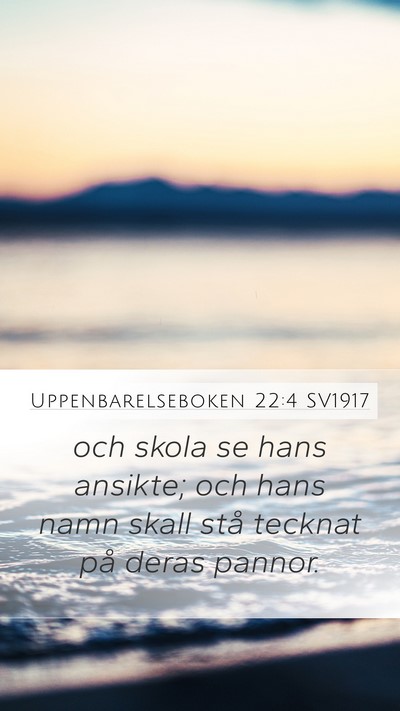 Uppenbarelseboken 22:4 SV1917 Bible Verse Image