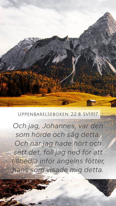 Uppenbarelseboken 22:8 SV1917 Bible Verse Image